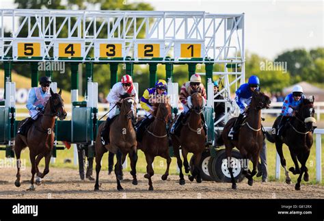 chelmsford race results|14:40 Chelmsford City .